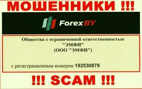 На информационном портале ворюг ForexBY Com показан именно этот номер регистрации указанной компании: 192530878
