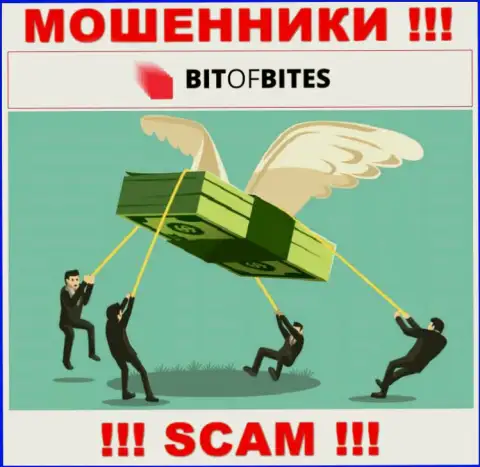 Не работайте совместно с дилинговой организацией BitOfBites Com - не станьте еще одной жертвой их мошенничества