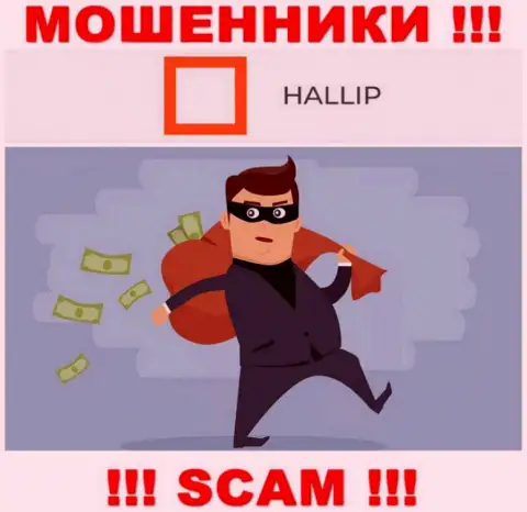 Взаимодействуя с дилинговой организацией Hallip вы не заработаете ни копейки - не отправляйте дополнительные денежные активы