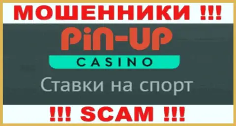 Основная работа PinUp Casino - это Казино, осторожно, работают противозаконно