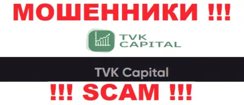 TVK Capital - это юридическое лицо internet махинаторов TVKCapital