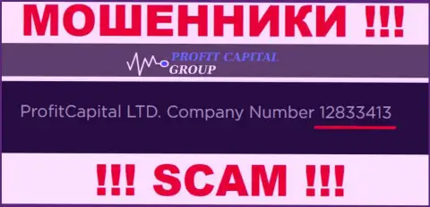 Номер регистрации Profit Capital Group, который размещен мошенниками на их информационном ресурсе: 12833413
