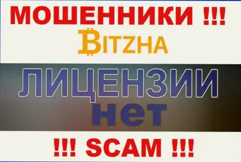 Лохотронщикам Bitzha24 не выдали лицензию на осуществление деятельности - воруют денежные активы