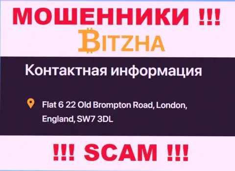 Доверять сведениям, что Bitzha представили на своем сайте, на счет места регистрации, не рекомендуем
