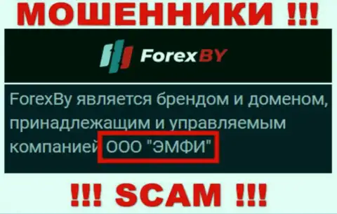 На официальном портале ForexBY Com отмечено, что данной компанией владеет ООО ЭМФИ