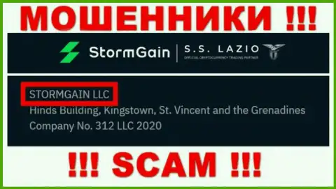 Данные об юридическом лице Storm Gain - это компания STORMGAIN LLC