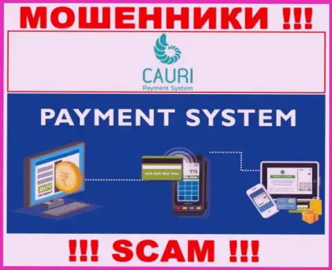 Мошенники Каури Ком, работая в области Payment system, оставляют без средств доверчивых клиентов