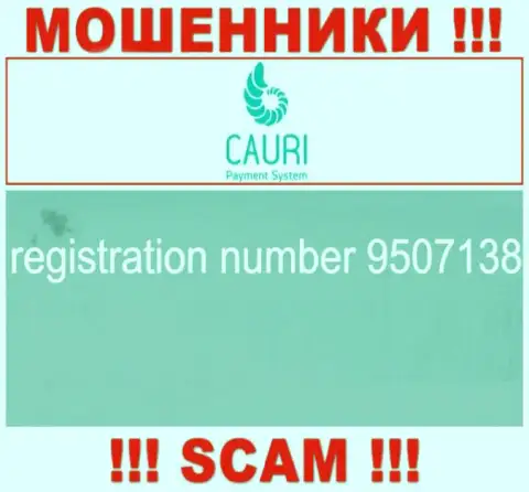 Номер регистрации, который принадлежит противозаконно действующей компании Каури - 9507138