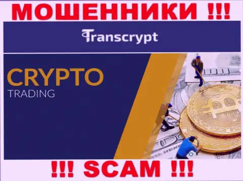 ТрансКрипт - мошенники !!! Направление деятельности которых - Crypto trading