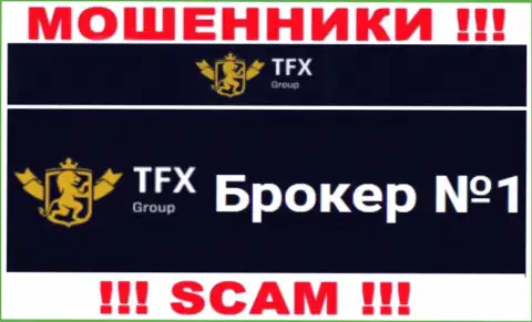 Не доверяйте денежные средства TFXGroup , ведь их сфера деятельности, Форекс, ловушка