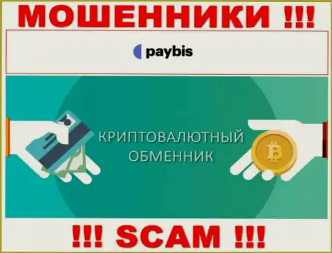 Crypto exchanger это сфера деятельности преступно действующей конторы PayBis Com