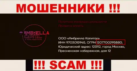 ООО Амбрелла Капитал internet-мошенников Umbrella-Capital Ru зарегистрировано под вот этим рег. номером - 207700295880