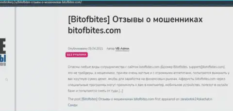 Обзорная статья с явными фактами одурачивания со стороны BitOfBites