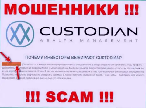Юридическим лицом, управляющим интернет-лохотронщиками Custodian, является ООО Кастодиан