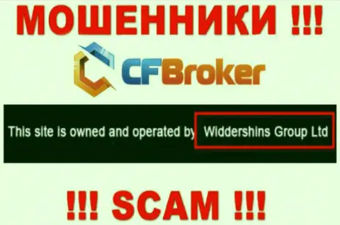 Юр лицо, владеющее интернет-ворами CFBroker - Widdershins Group Ltd