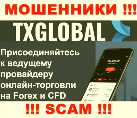 В глобальной сети интернет действуют мошенники TX Global, род деятельности которых - Forex