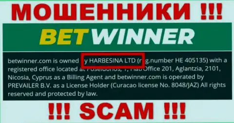 Махинаторы БетВиннер пишут, что именно HARBESINA LTD владеет их лохотронным проектом