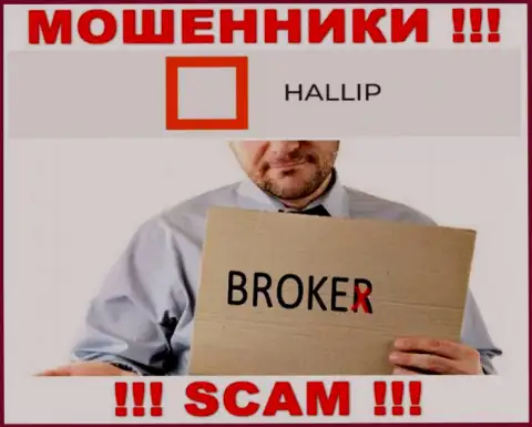 Род деятельности интернет мошенников Hallip Com - это Брокер, однако имейте ввиду это кидалово !!!