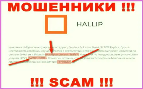 Не связывайтесь с жуликами Hallip - существованием лицензионного документа, на веб-сайте, завлекают клиентов