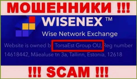 TorsaEst Group OU владеет компанией ВисенЕкс Ком - это МОШЕННИКИ !!!
