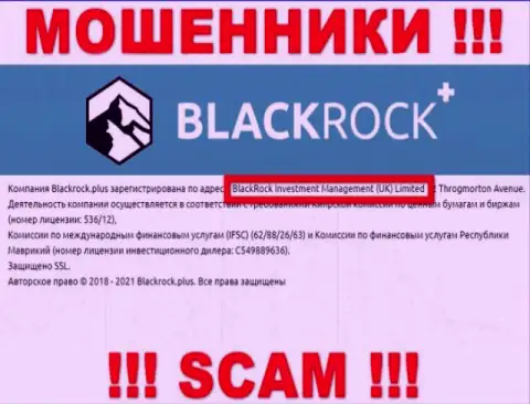 Руководителями Блэк Рок Плюс является компания - BlackRock Investment Management (UK) Ltd