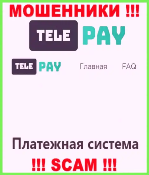 Основная деятельность ТелеПай - это Платежная система, будьте очень внимательны, действуют преступно