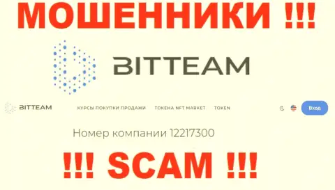 Регистрационный номер, который присвоен организации BitTeam - 12217300