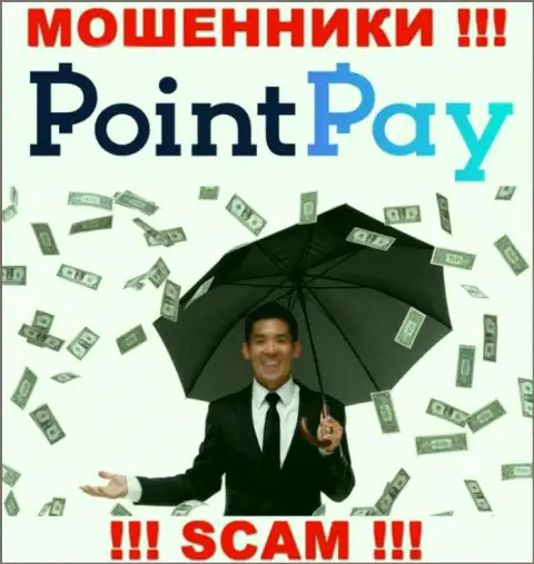 Не попадитесь в ловушку internet-лохотронщиков Point Pay LLC, финансовые активы не заберете