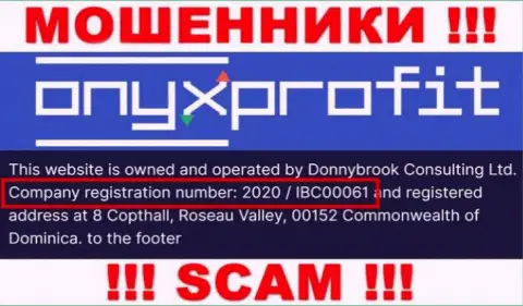 Регистрационный номер, который присвоен организации OnyxProfit - 2020 / IBC00061