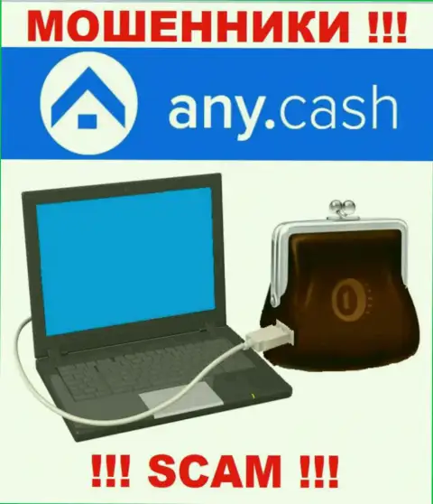 Any Cash - это МОШЕННИКИ, сфера деятельности которых - Виртуальный online-кошелек