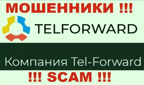 Юр. лицо TelForward - это Тел-Форвард, именно такую инфу разместили жулики на своем портале