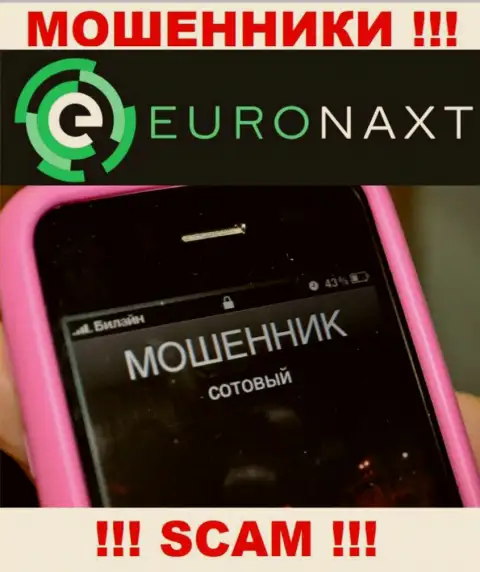 Вас намерены развести на деньги, EuroNax в поиске новых лохов