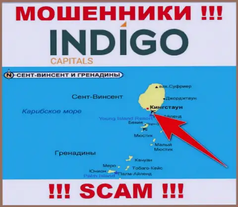 Мошенники Indigo Capitals находятся на офшорной территории - Kingstown, St Vincent and the Grenadines
