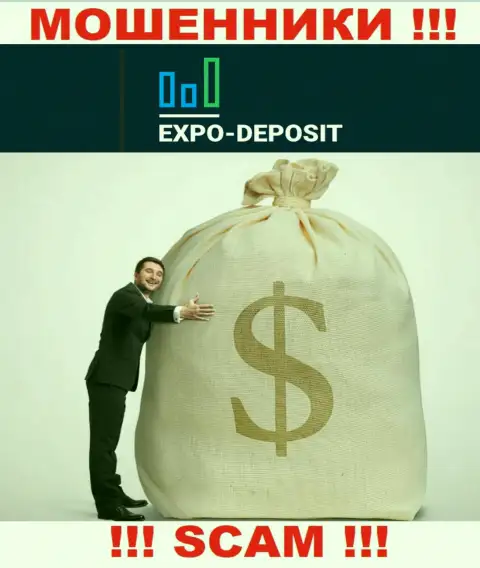 Нереально вывести вложенные денежные средства из компании Expo Depo, именно поэтому ни гроша дополнительно вводить не советуем