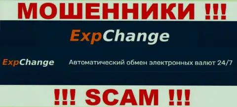 Крипто обменник - это то на чем, якобы, специализируются интернет-мошенники ExpChange