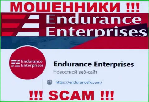 Установить контакт с интернет мошенниками из организации Endurance FX Вы сможете, если напишите письмо им на e-mail