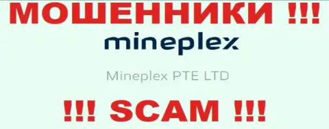 Владельцами Майн Плекс оказалась компания - Mineplex PTE LTD