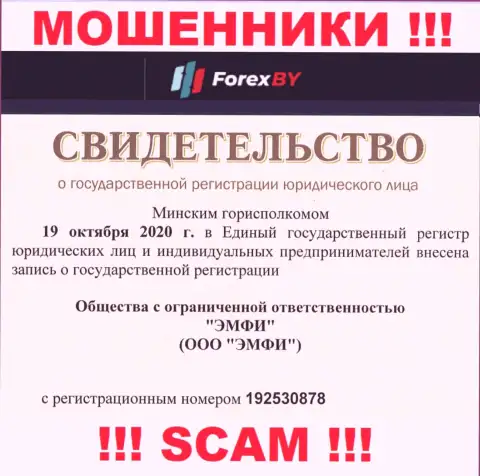 Регистрационный номер преступно действующей организации Forex BY - 192530878