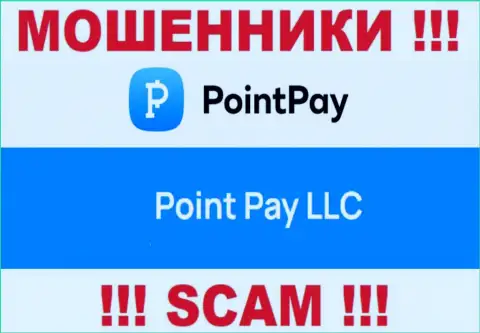 Шарашка Поинт Пей находится под руководством организации Point Pay LLC