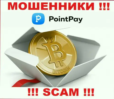 Point Pay ни рубля Вам не отдадут, не оплачивайте никаких налоговых сборов