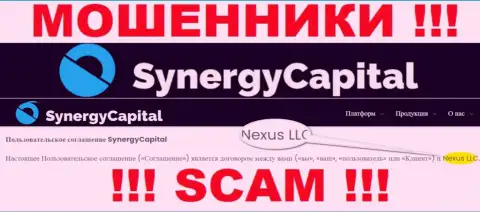Юридическое лицо, владеющее internet-ворами SynergyCapital - это Нексус ЛЛК
