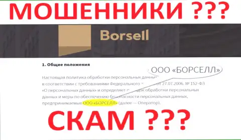Borsell LLC - это компания, которая руководит интернет-мошенниками Borsell Ru