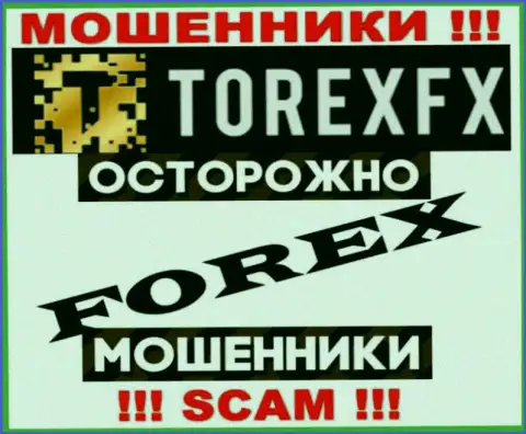 Сфера деятельности TorexFX: Форекс - хороший заработок для жуликов