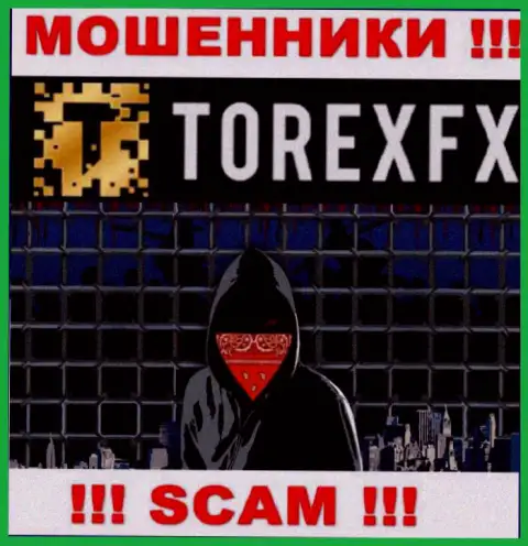 TorexFX скрывают данные об руководителях конторы