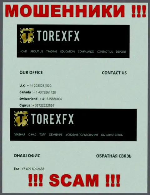 В запасе у интернет разводил из организации Torex FX припасен не один номер телефона